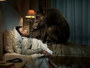 Сон кошмар