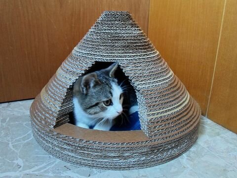 Кошка в домике из картона